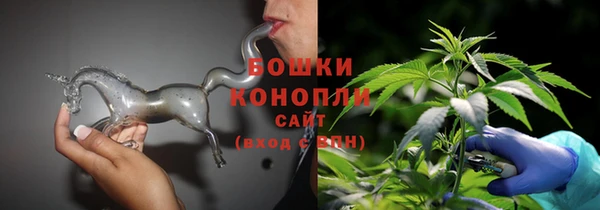 ешки Белокуриха
