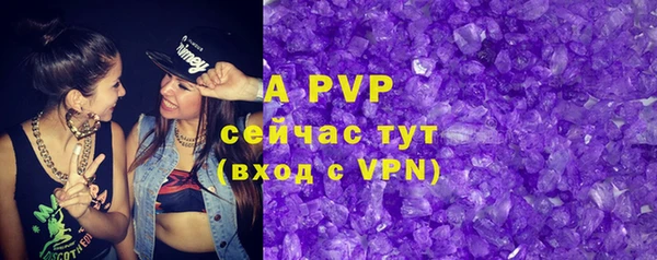 PSILOCYBIN Баксан