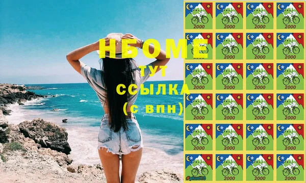 прущие грибы Балахна