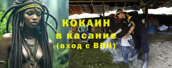 прущие грибы Балахна