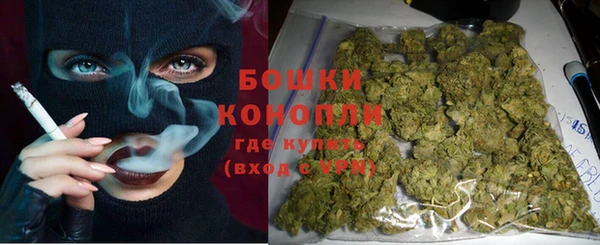 прущие грибы Балахна