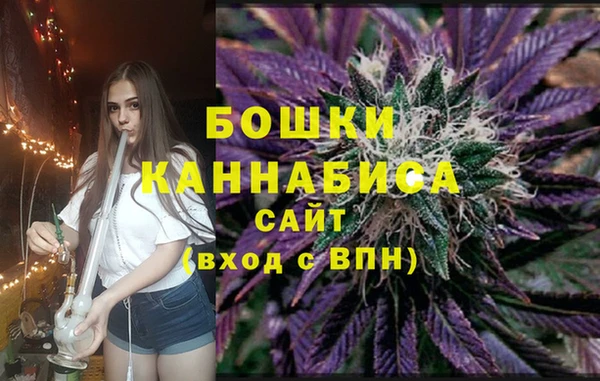 PSILOCYBIN Баксан